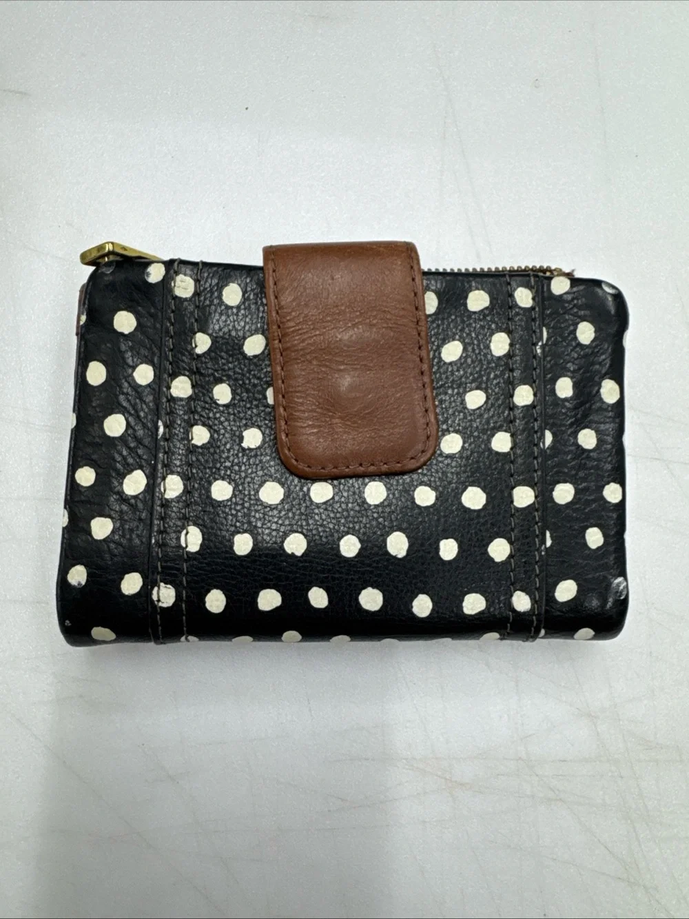 Fossil super cute